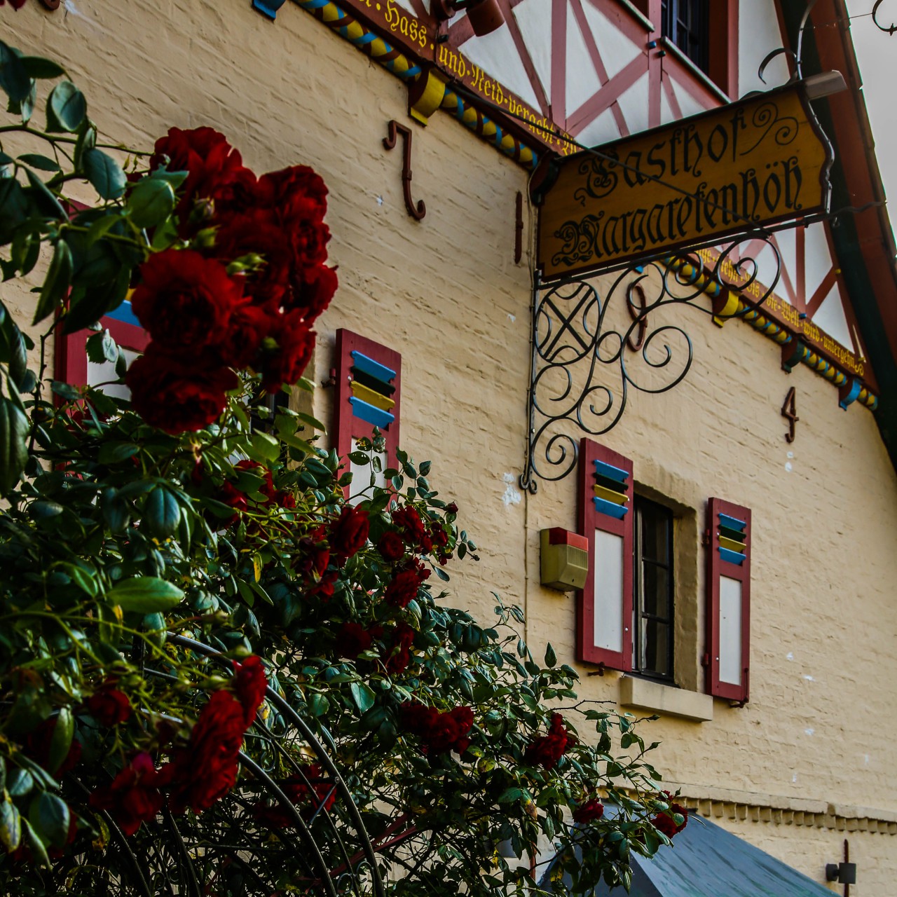 Rote Rosen vor dem historischen Gasthausschild